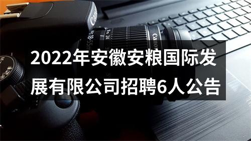 2022年安徽安粮国际发展有限公司招聘6人公告 图片