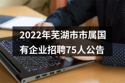 2022年芜湖市市属国有企业招聘75人公告 图片