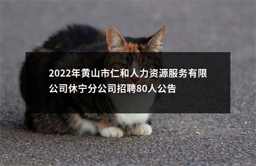 2022年黄山市仁和人力资源服务有限公司休宁分公司招聘80人公告 图片